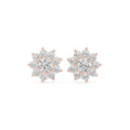 Round Moissanite Sunburst Halo Stud Earrings – 925 Sterling Silver, 18K Gold Vermeil