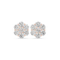 Moissanite Flower Cluster Stud Earrings – 925 Sterling Silver, 18K Gold Vermeil