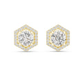 Round Moissanite Hexagon Halo Stud Earrings – 925 Sterling Silver, 18K Gold Vermeil